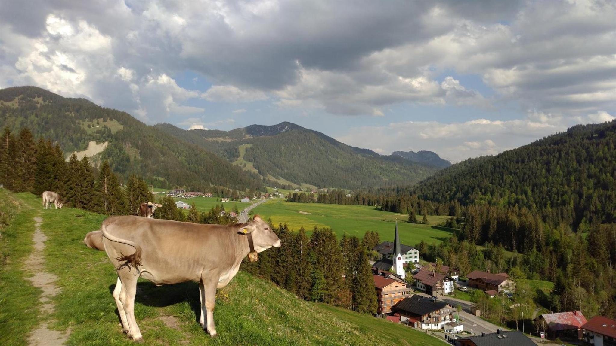 Albingers Landhaus