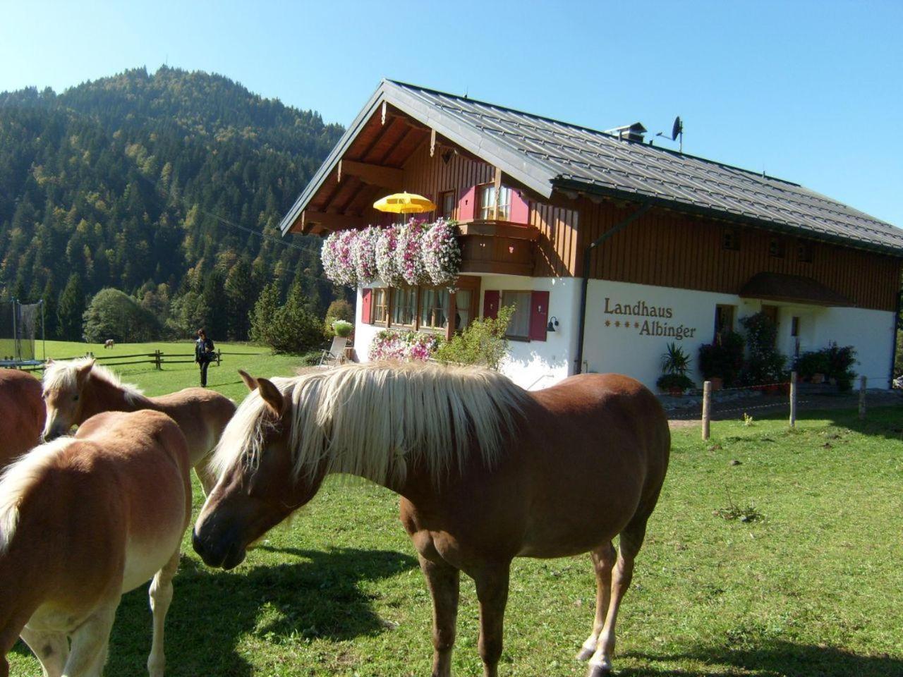 Albingers Landhaus