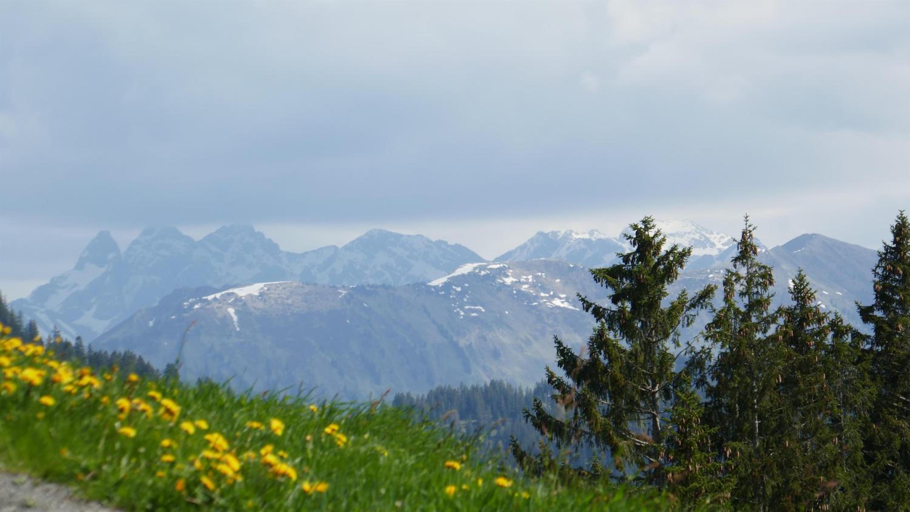 Albingers Landhaus