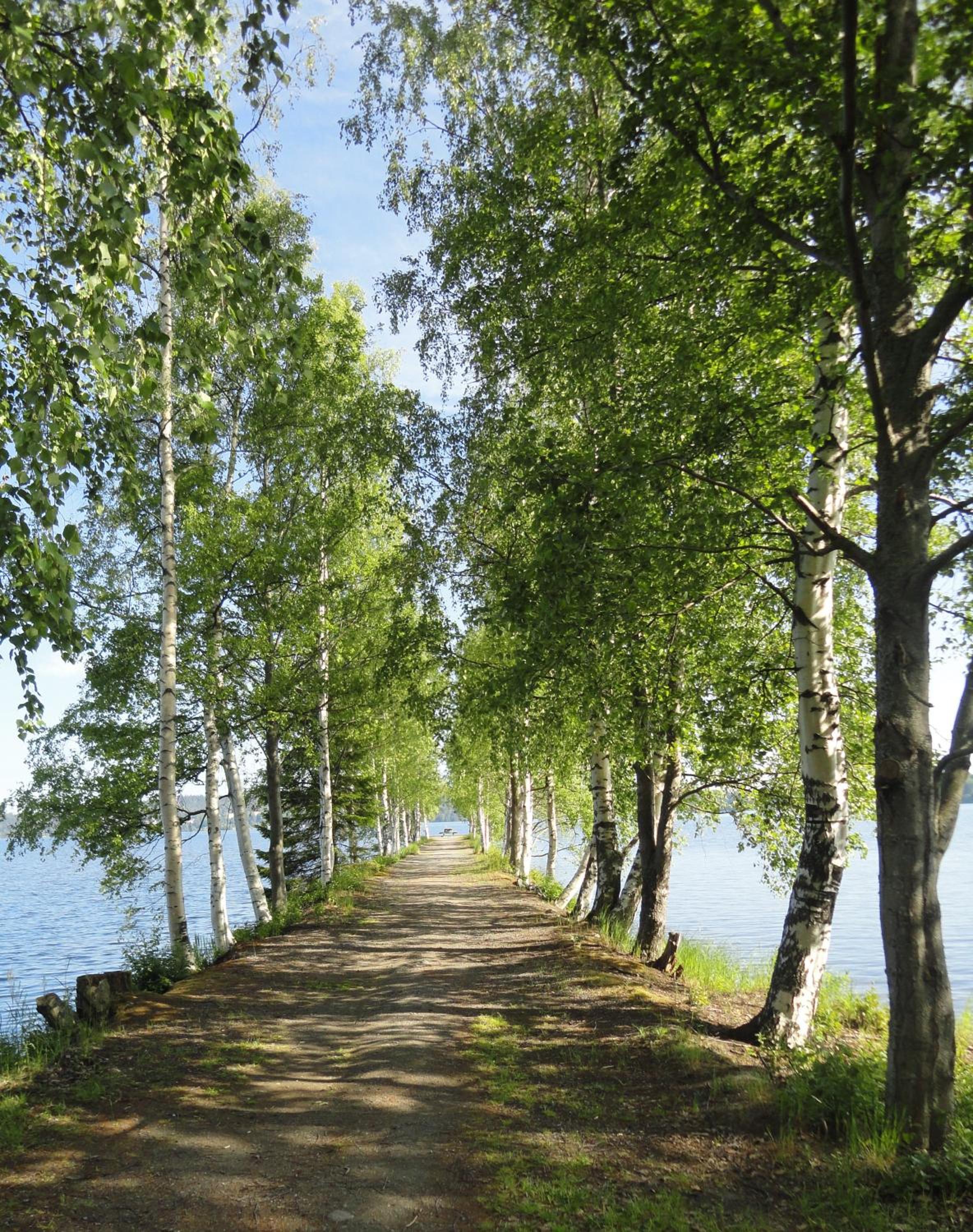 Photo 48
