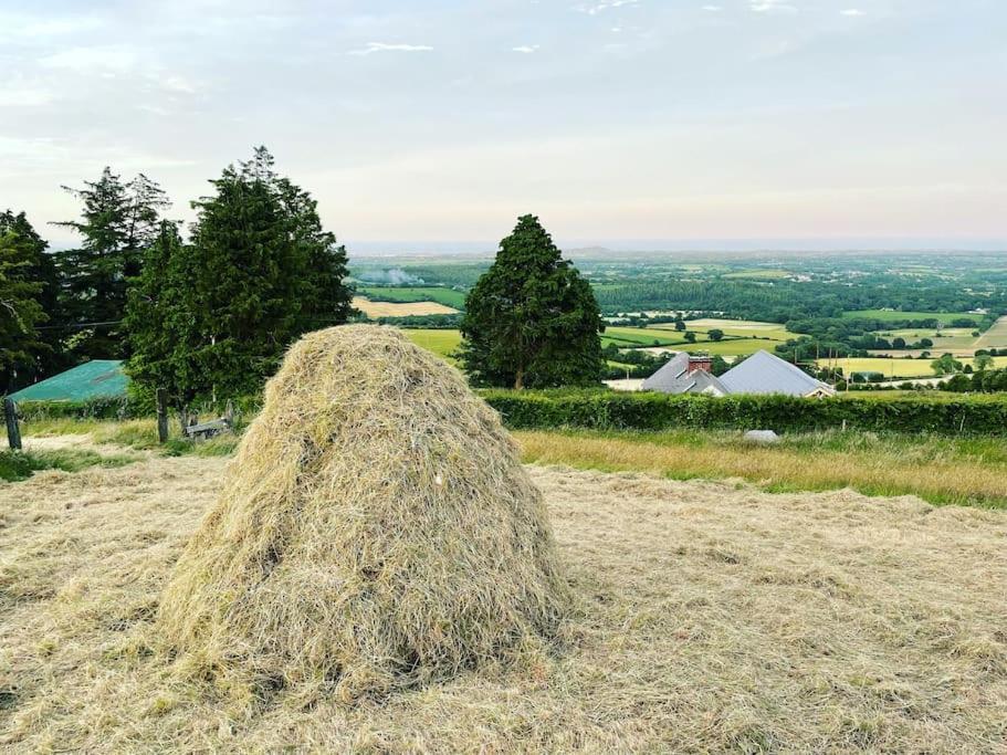 Glenogue Farm