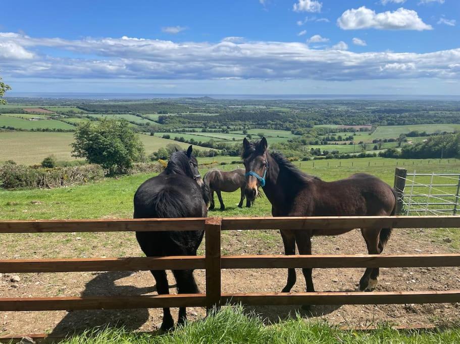 Glenogue Farm