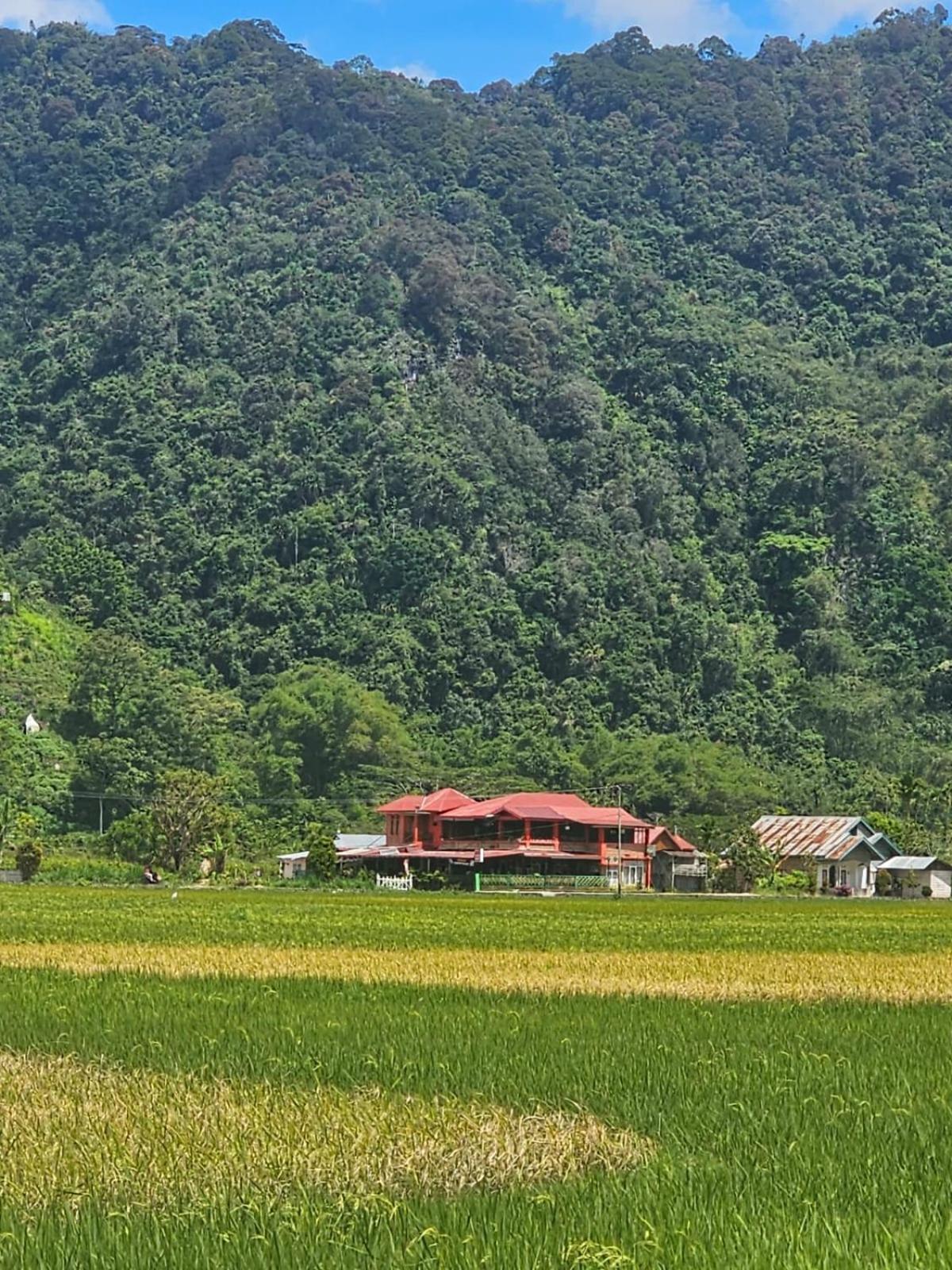 Homestay dan Cafe BungaSonsang