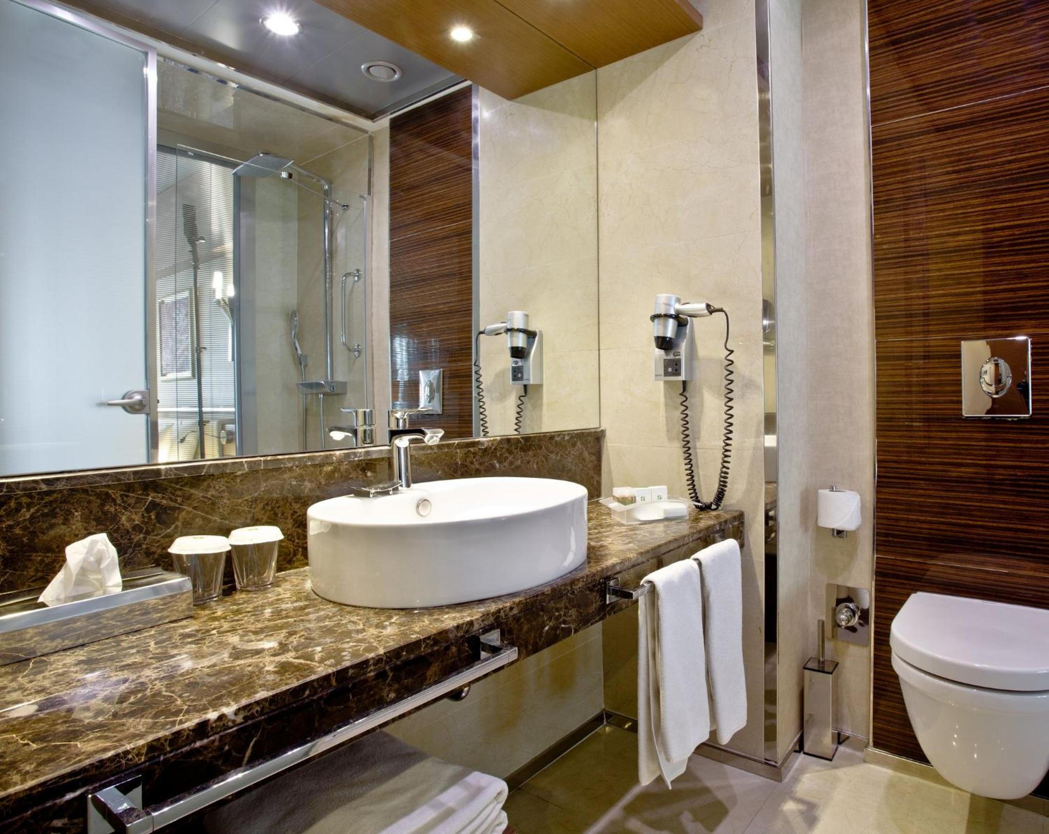 Holiday Inn Ankara-Kavaklidere, an IHG Hotel - Image 71