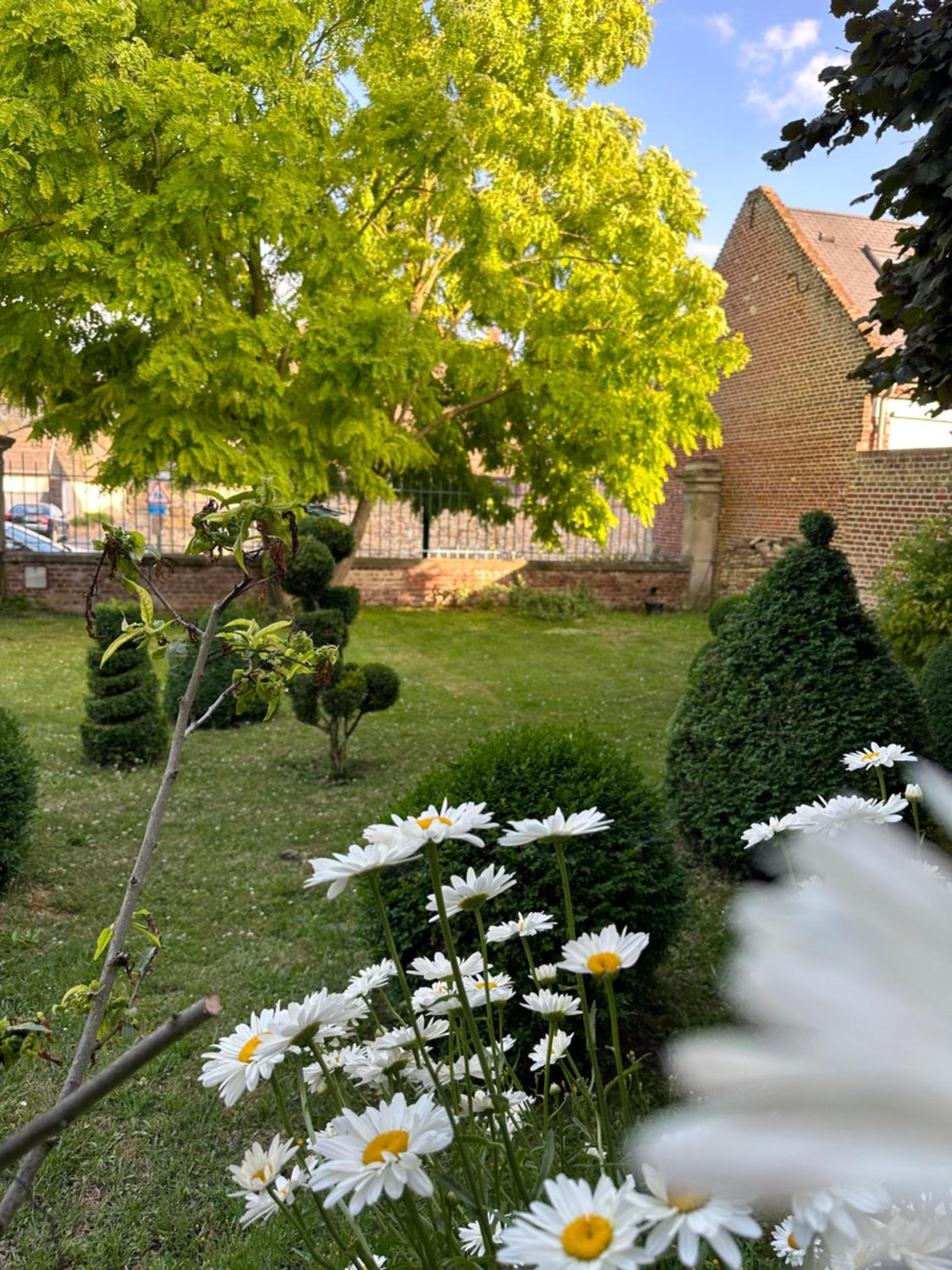 Photo 16