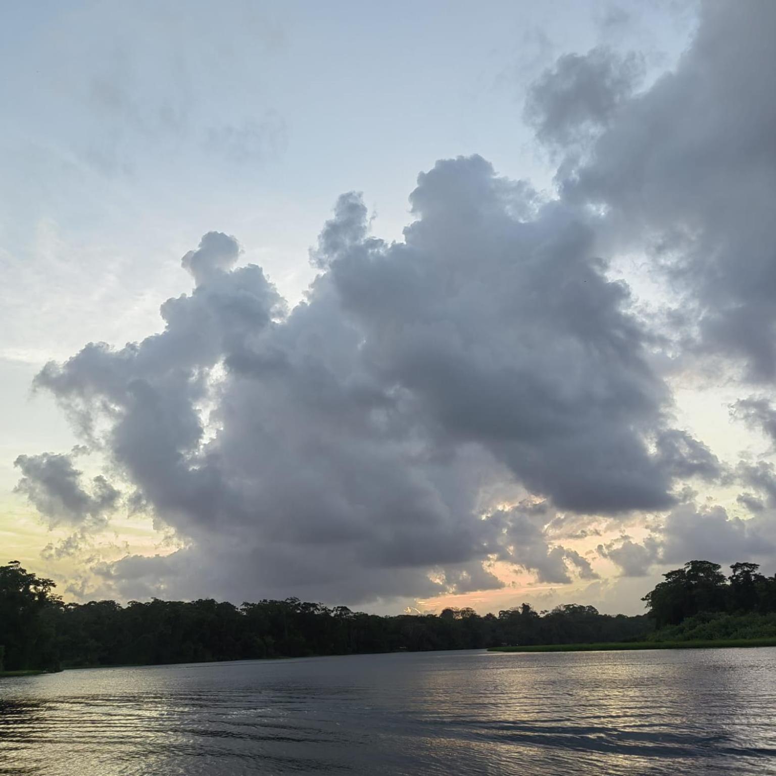Tortuguero Villas