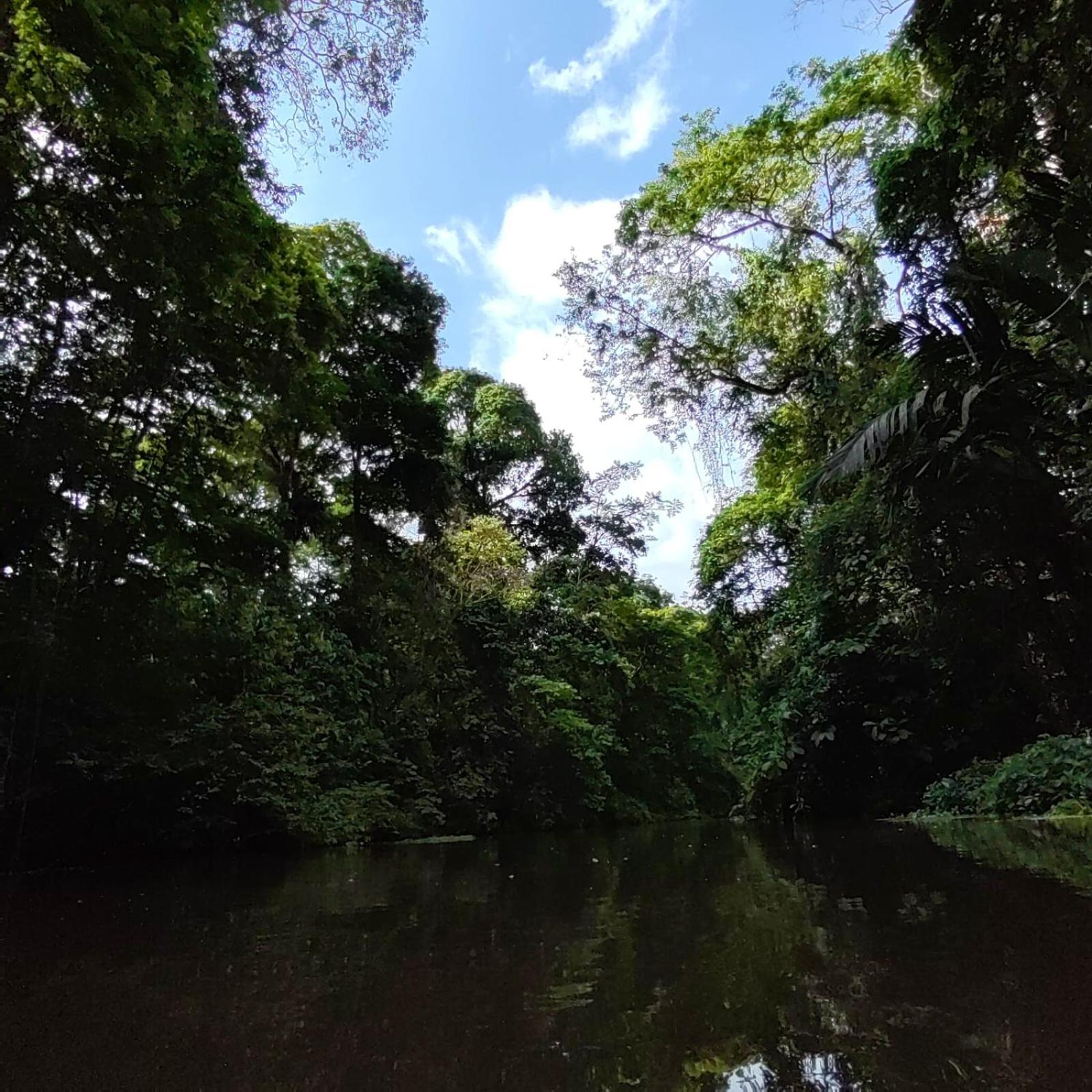 Tortuguero Villas