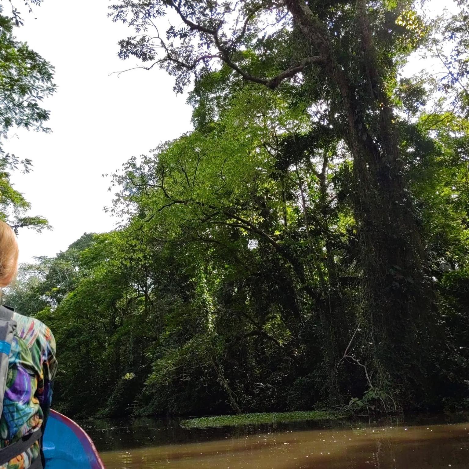 Tortuguero Villas