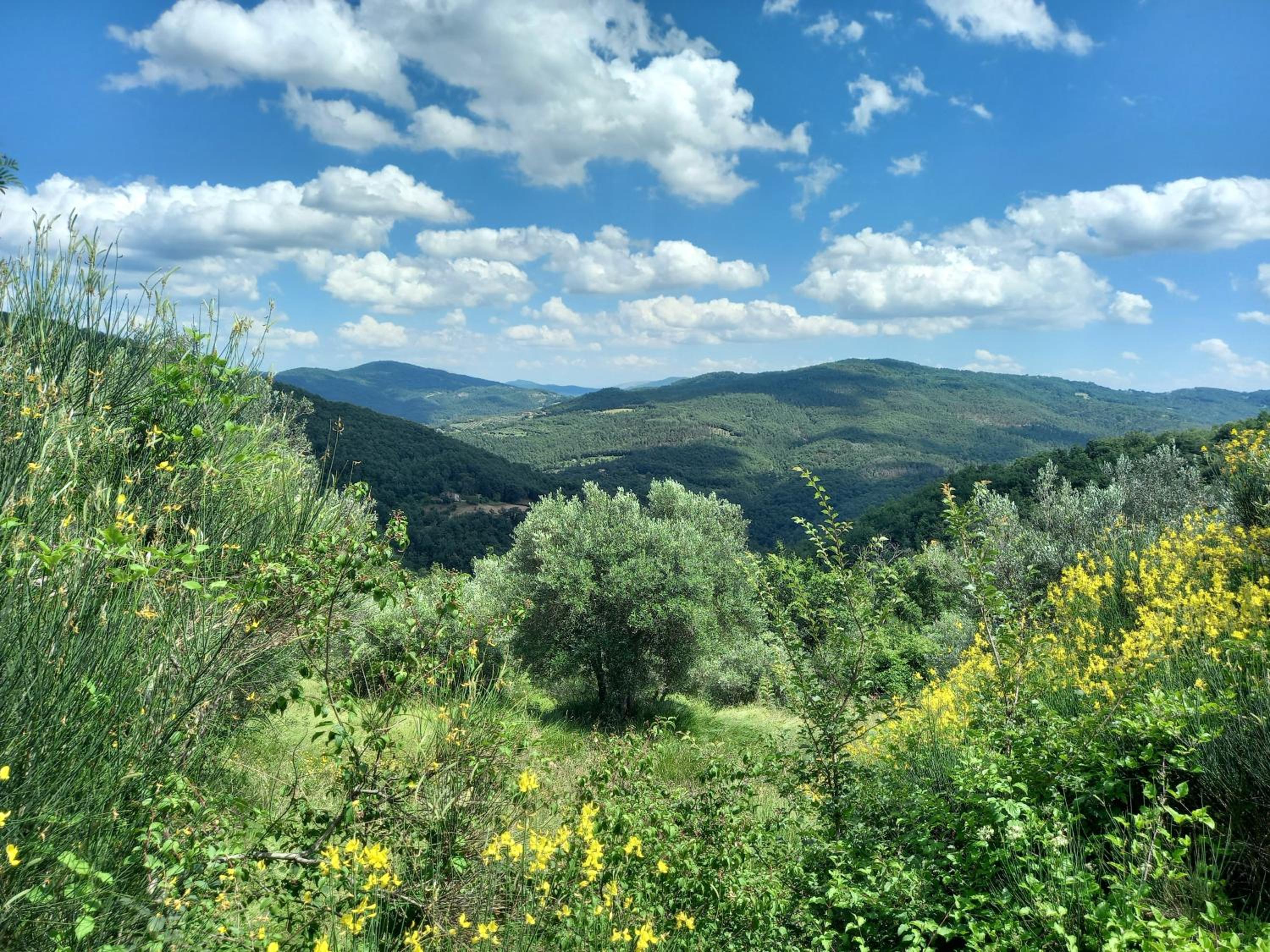 Valle Dame view 4