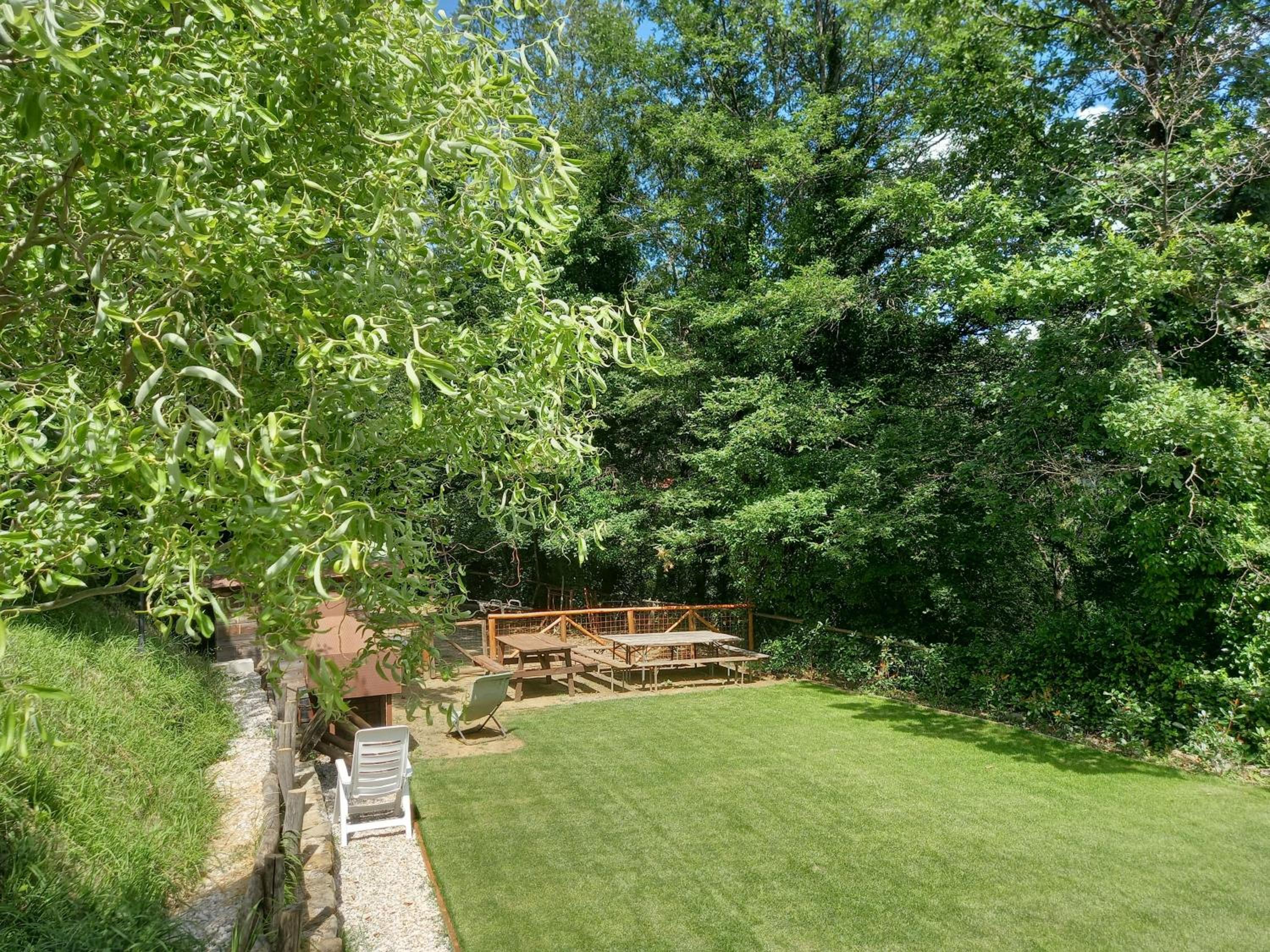 Photo 11