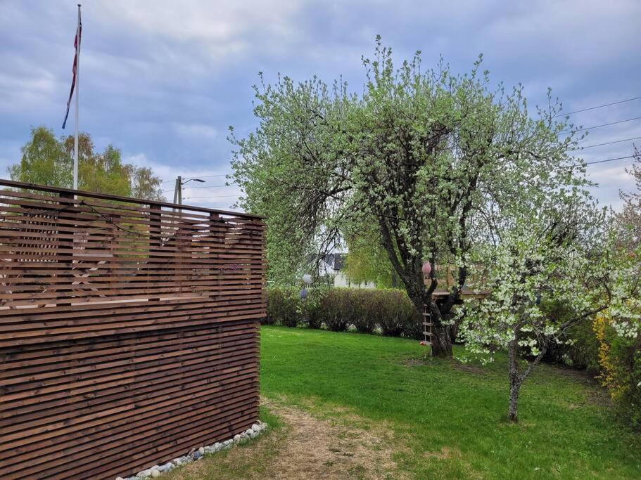 Beautiful apartment near forest, sea and city