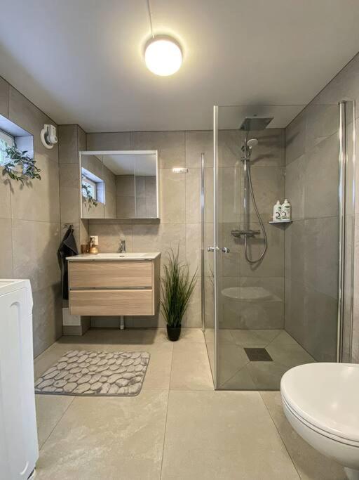 Beautiful apartment near forest, sea and city