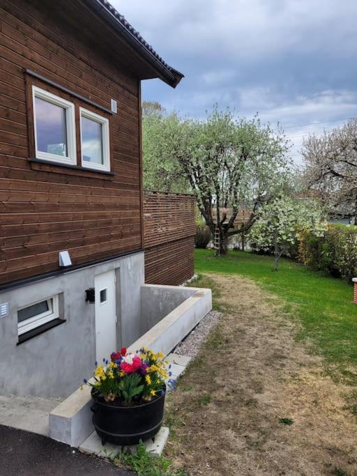 Beautiful apartment near forest, sea and city