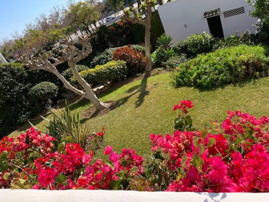 Appartement Pueblo del Parque, parc La Paloma
