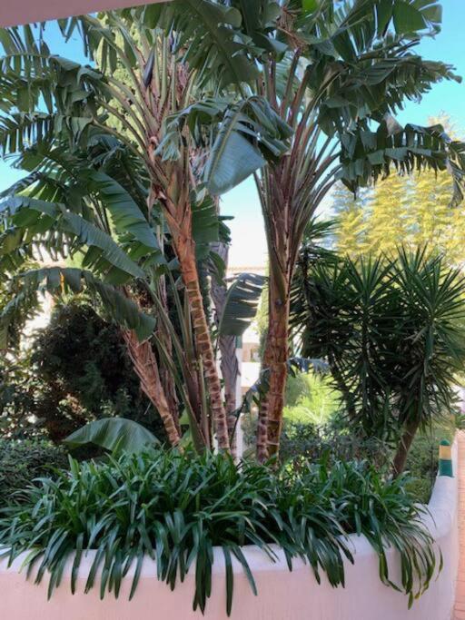 Appartement Pueblo del Parque, parc La Paloma