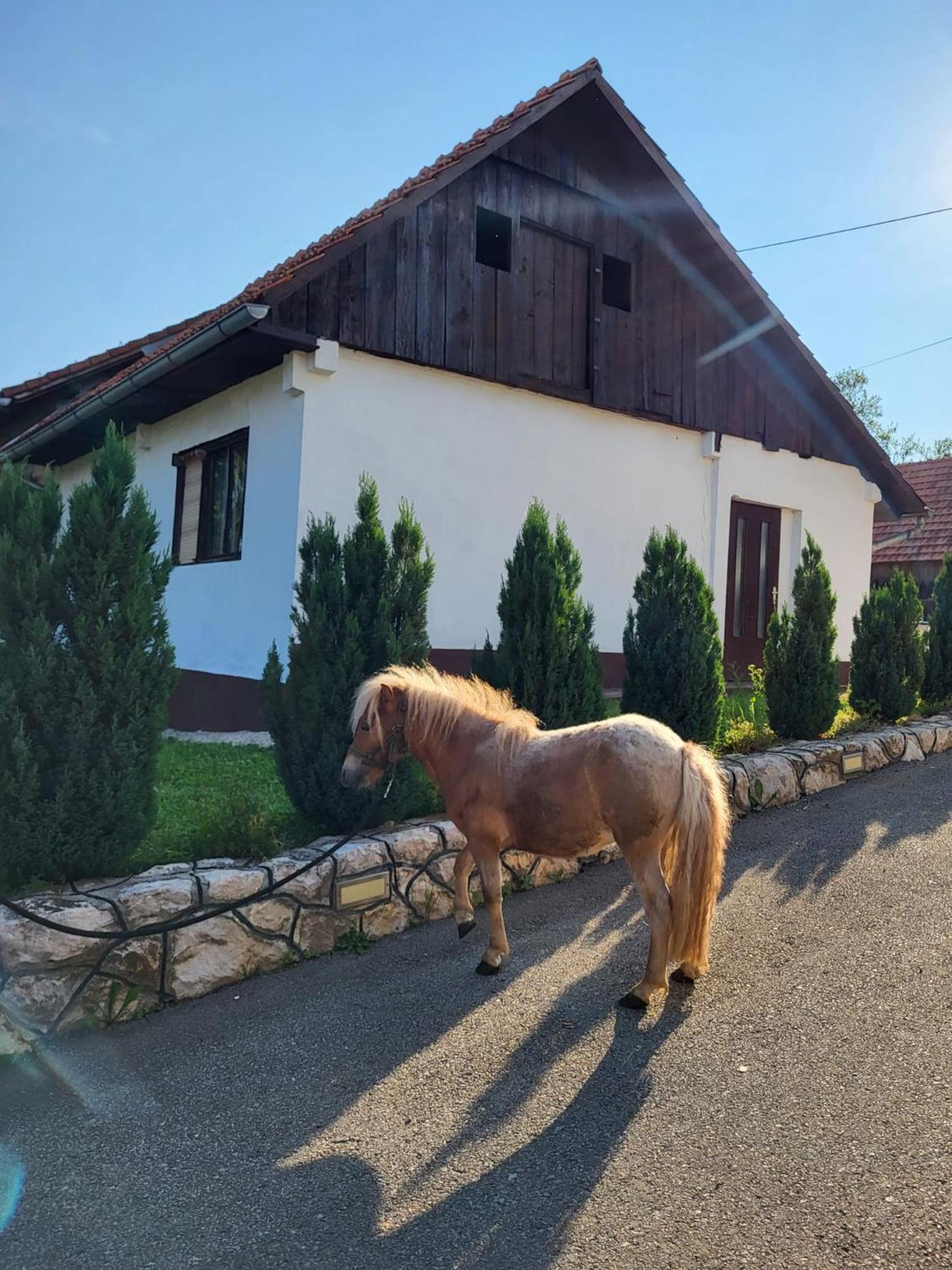 Hotel Apartment Dado