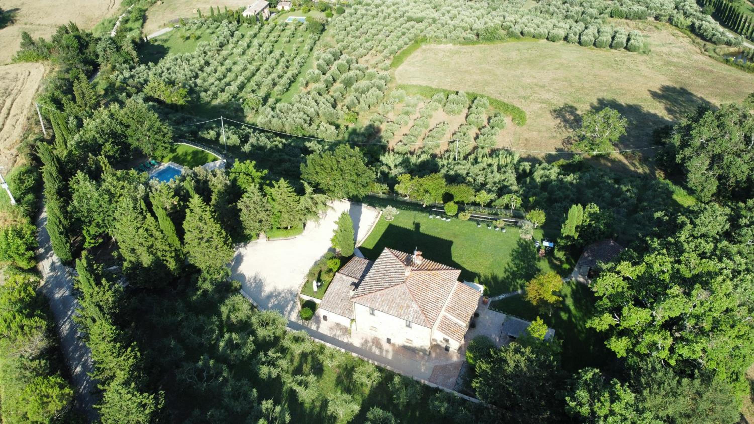 Podere Colombaio - Verbena