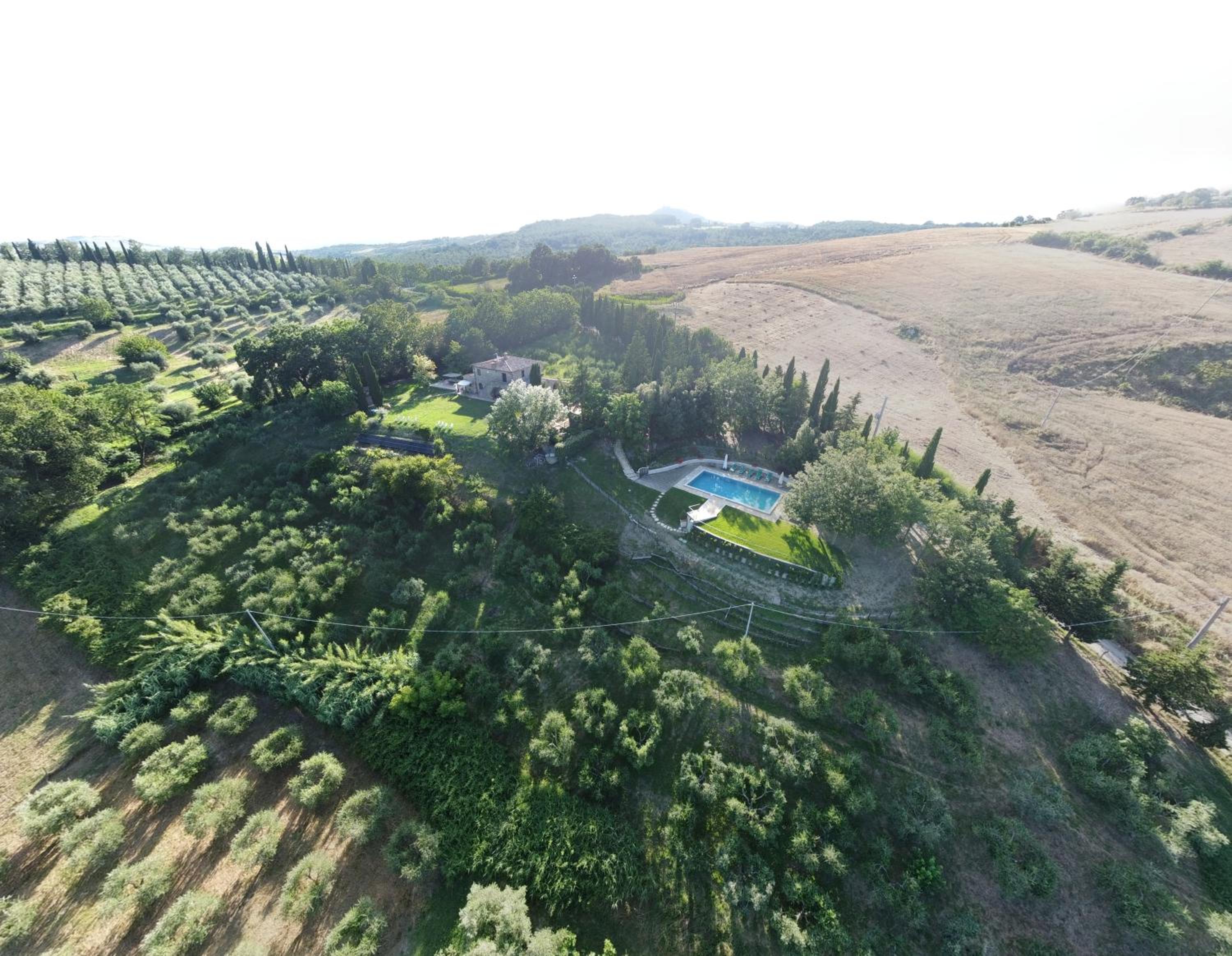 Podere Colombaio - Verbena