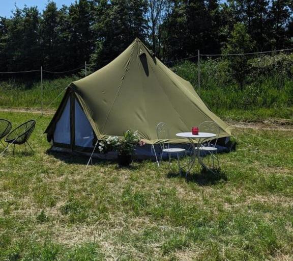 Campingspots to put on your own tent with or without electricity, with no bed for 12 euro or 25 euro and 2 furnished glampingtents for minimum 75 euro in a
