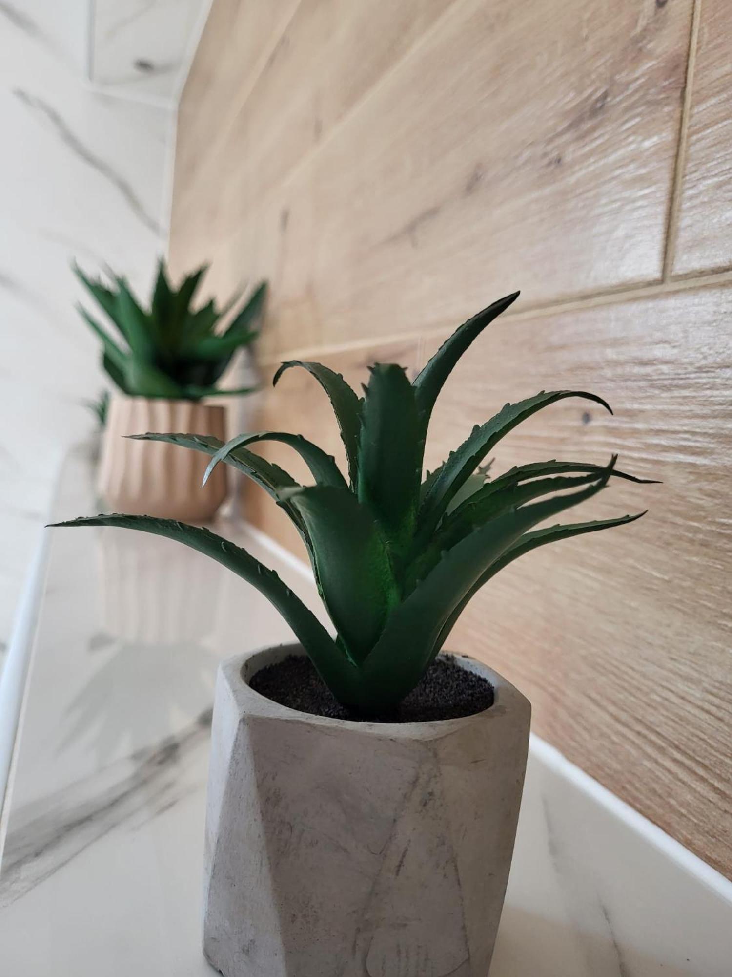 Apartment Dado