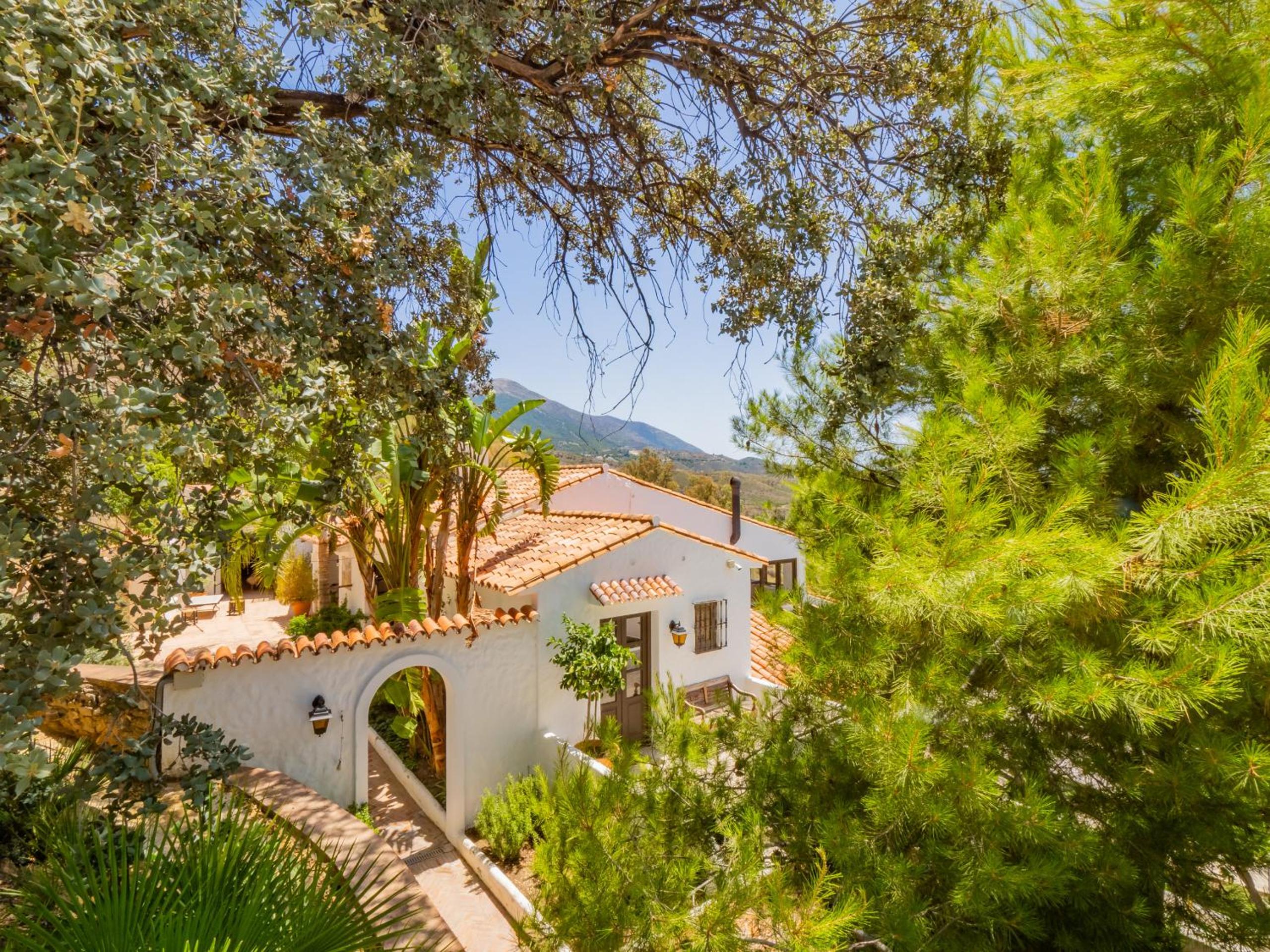 Cubo's Mountain View Casa Marling