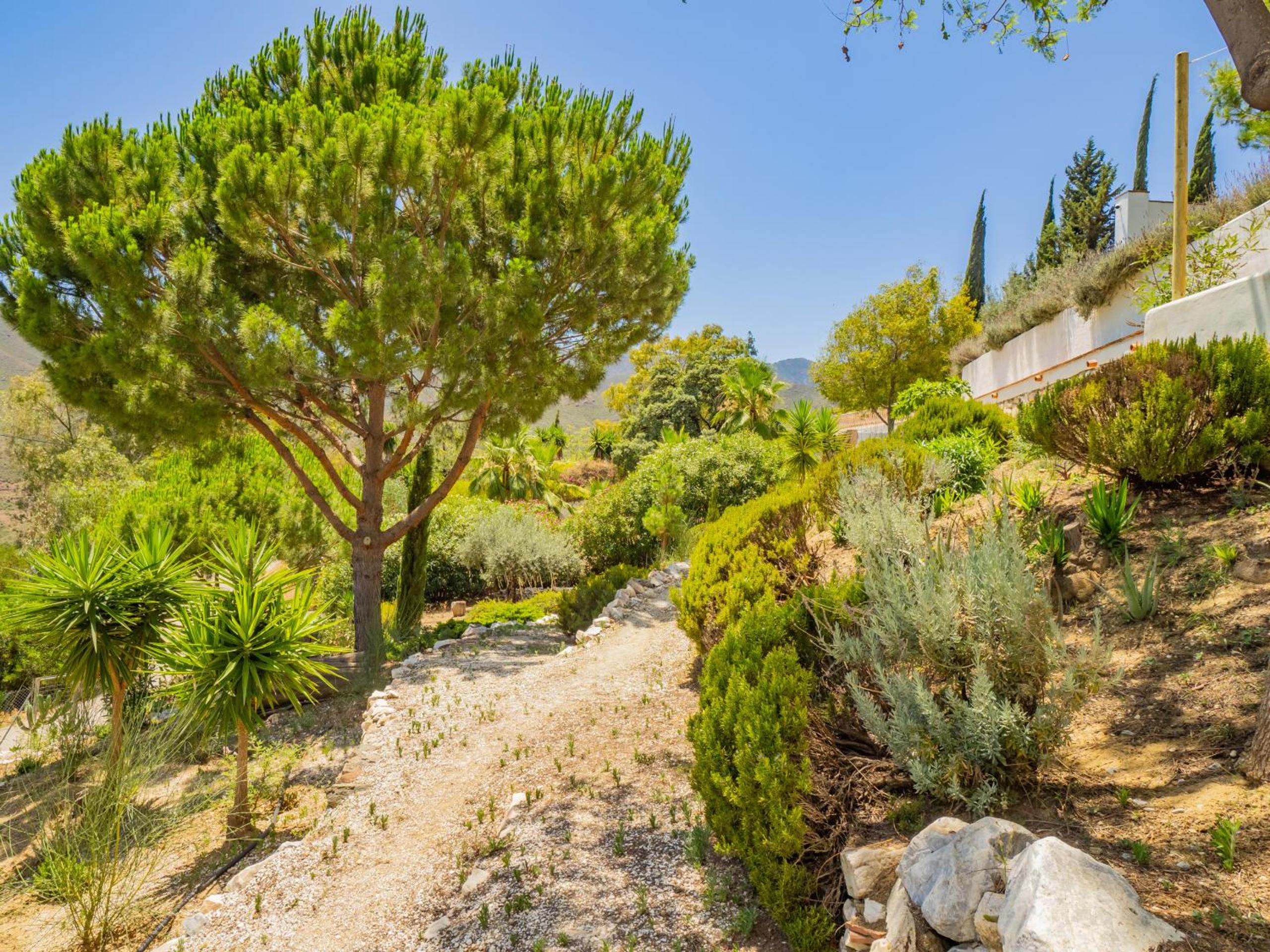 Cubo's Mountain View Casa Marling