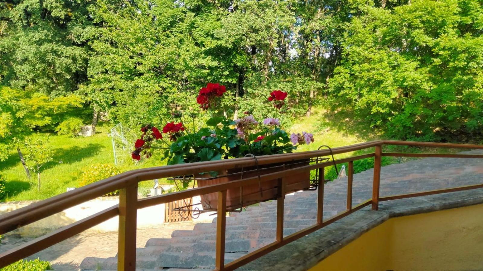 Photo 33