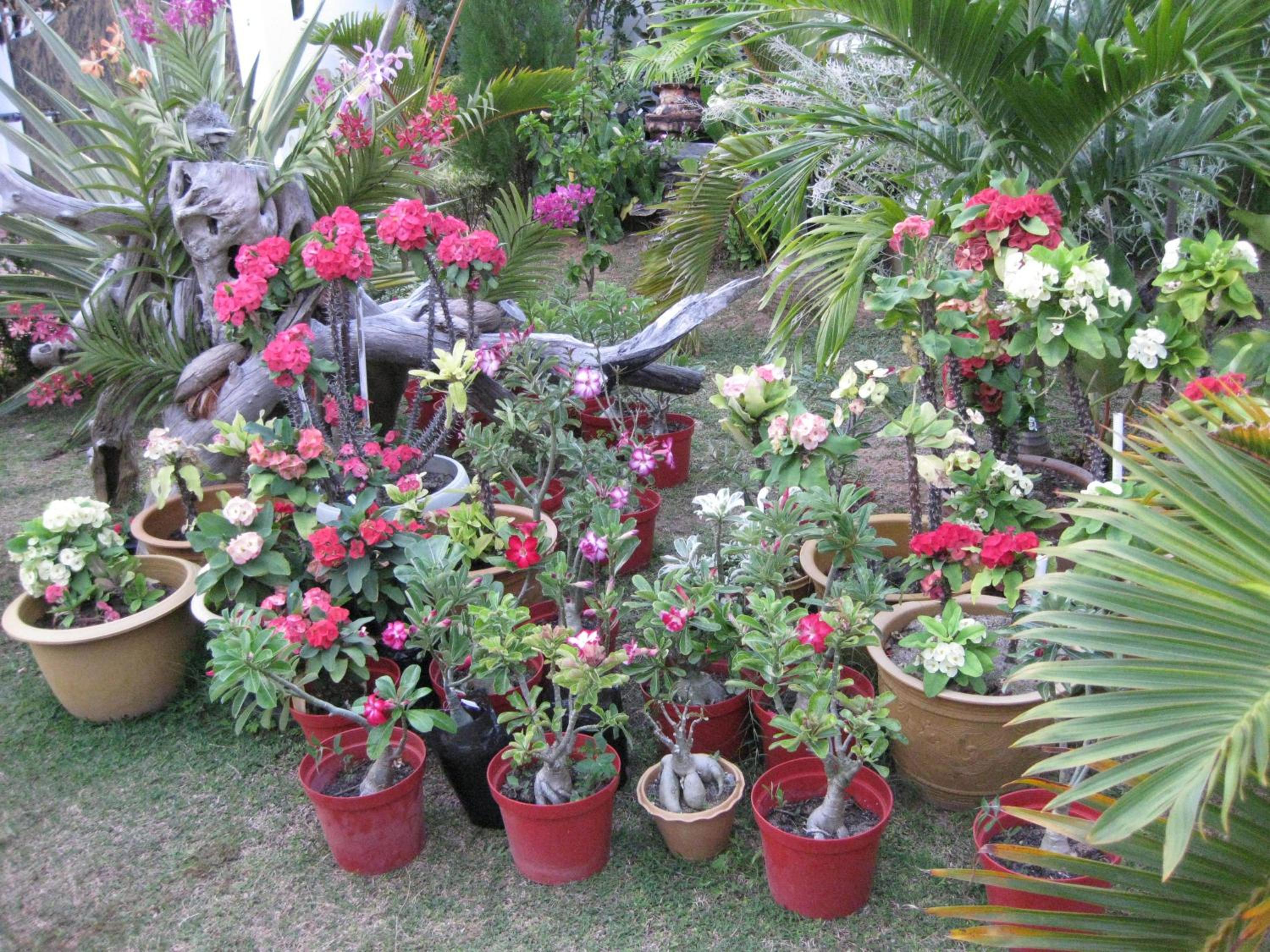 Photo 49