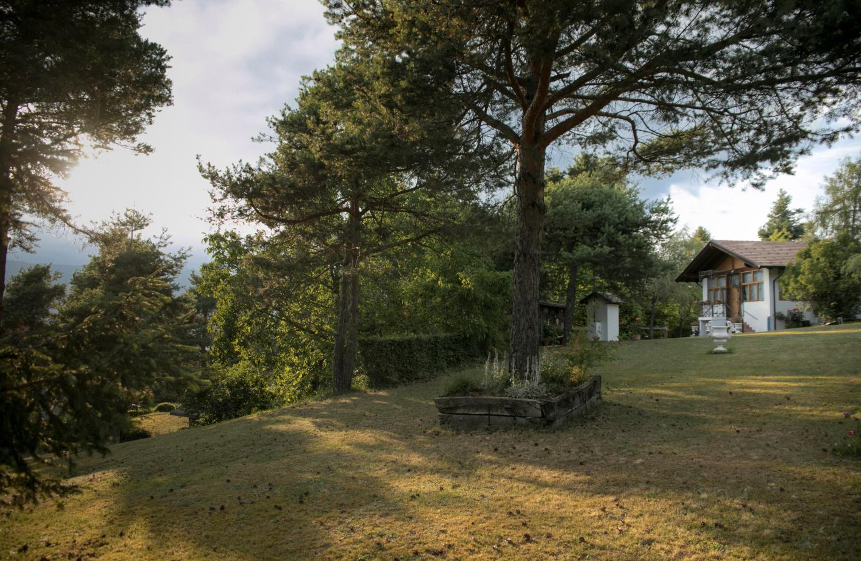 La Villa del Barone view 5