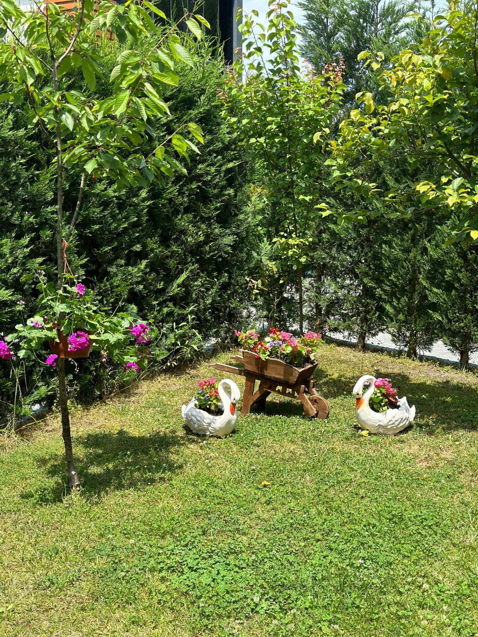 Photo 34
