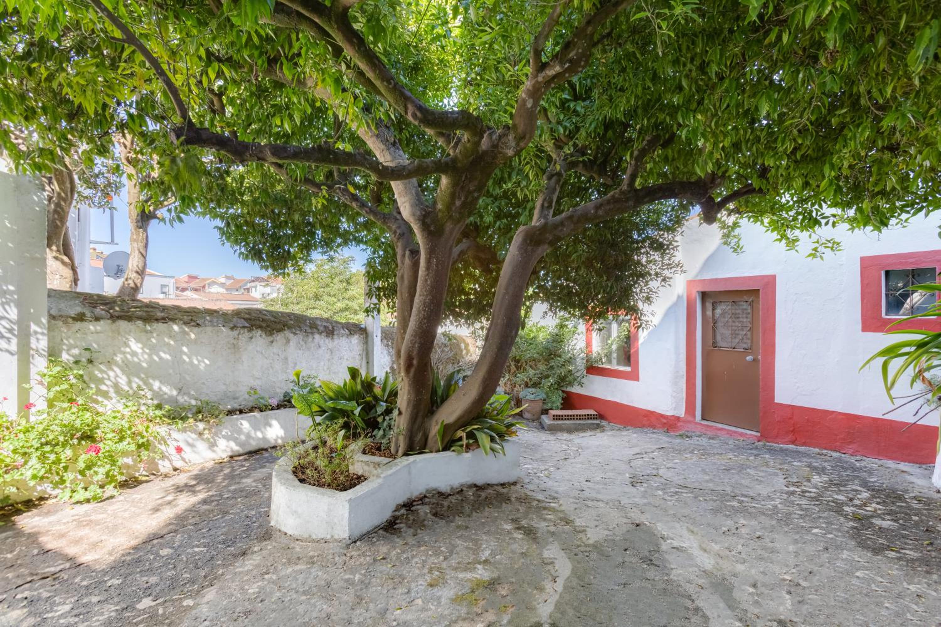 Casa da Mité view 3