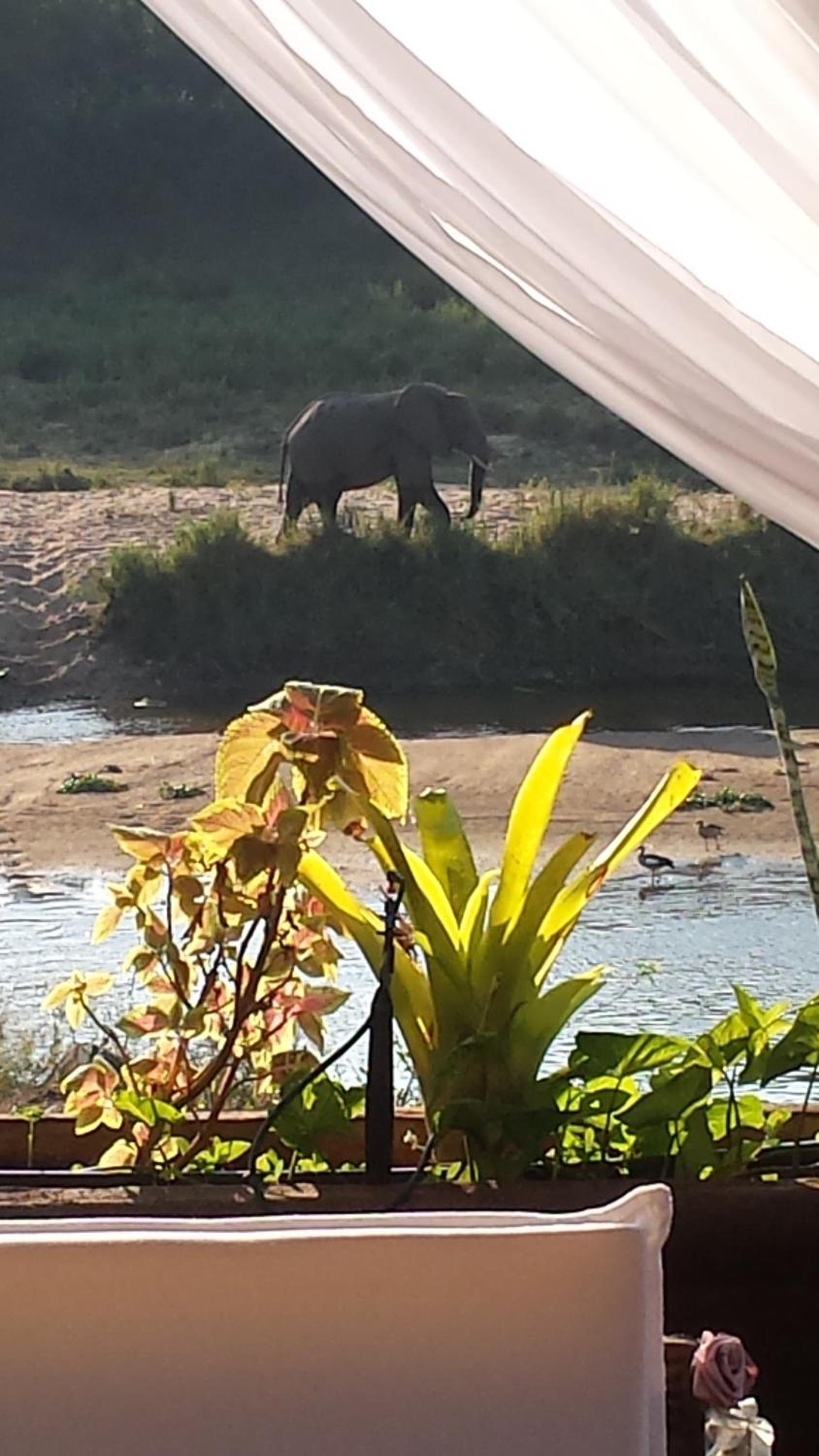 River House Lodge