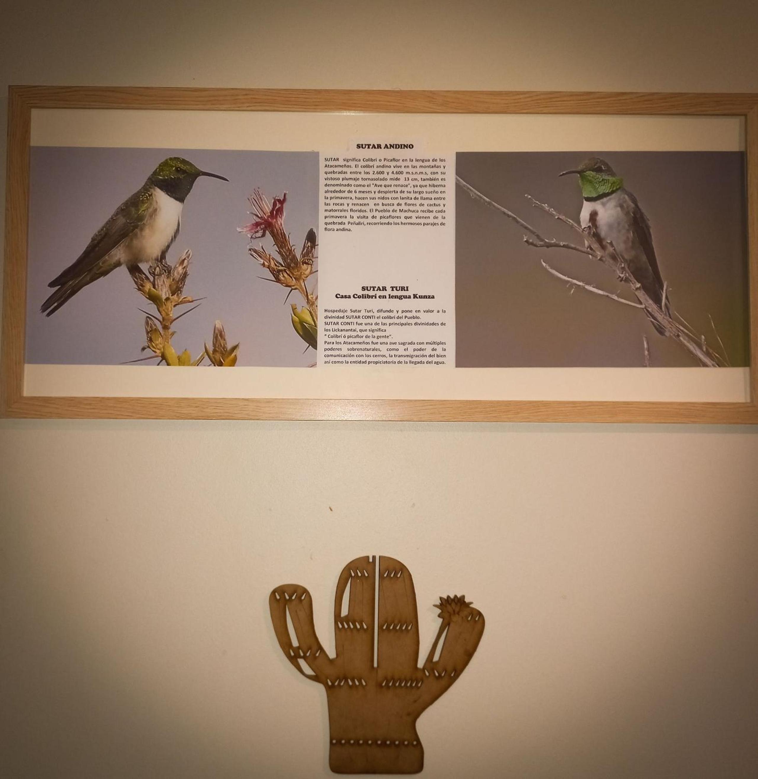 Casa Sutar Los Pimientos