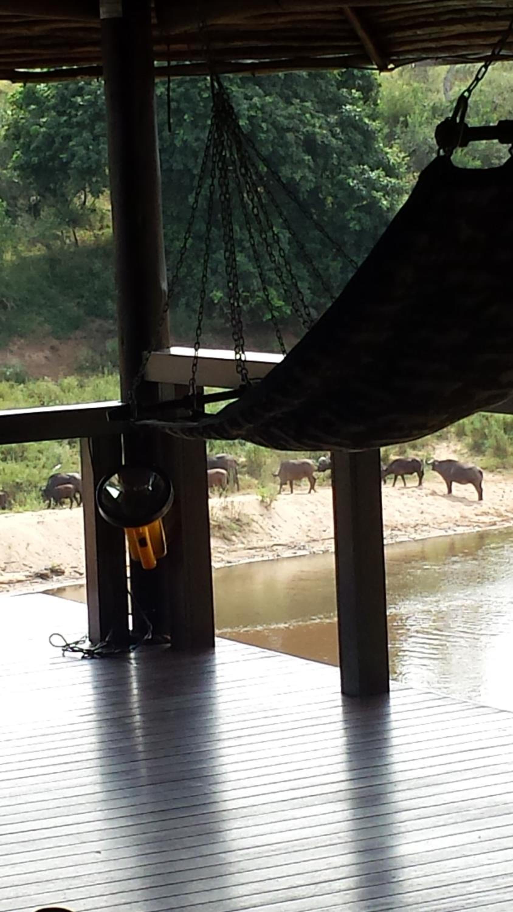 River House Lodge