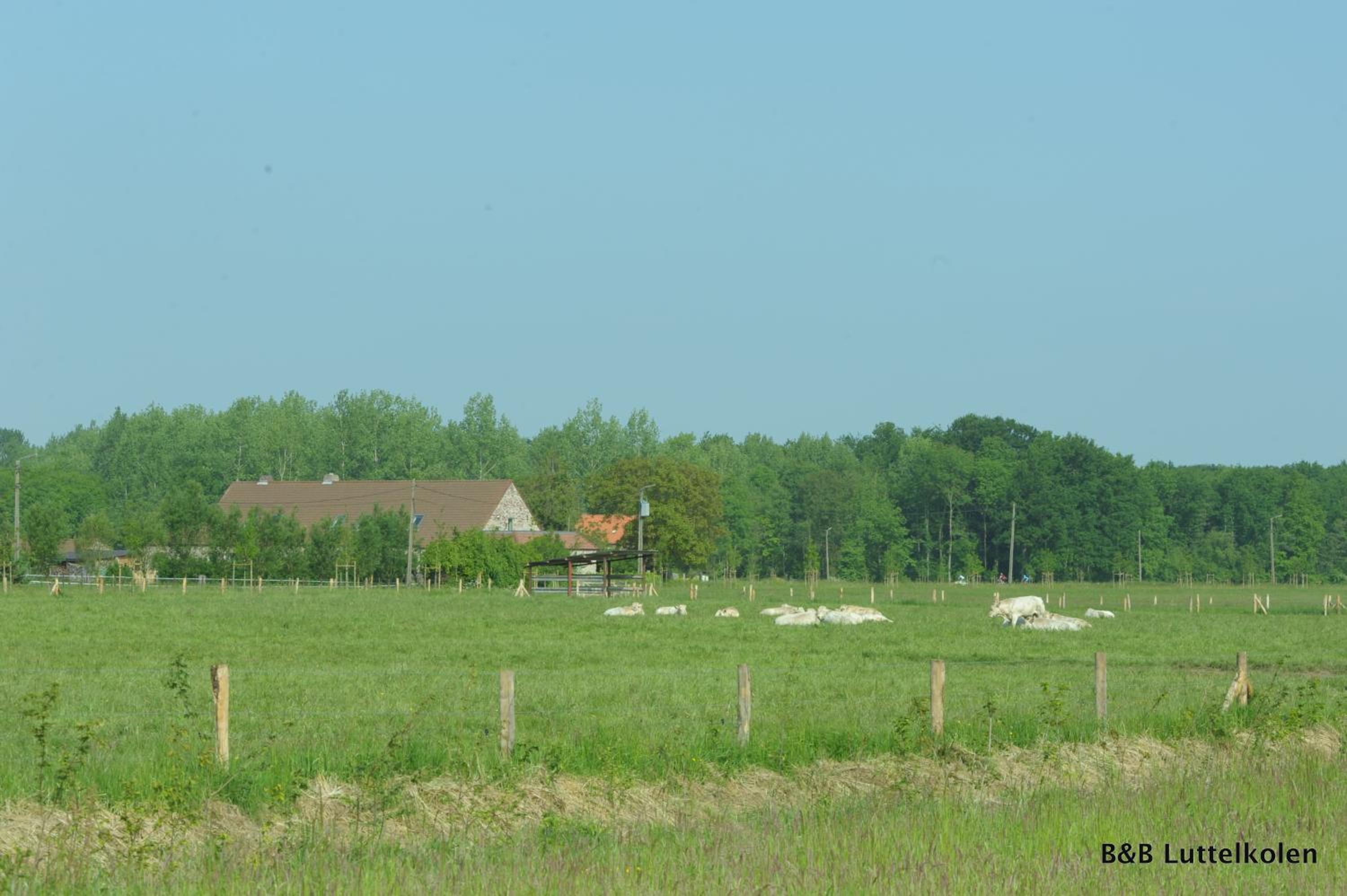 Photo 46