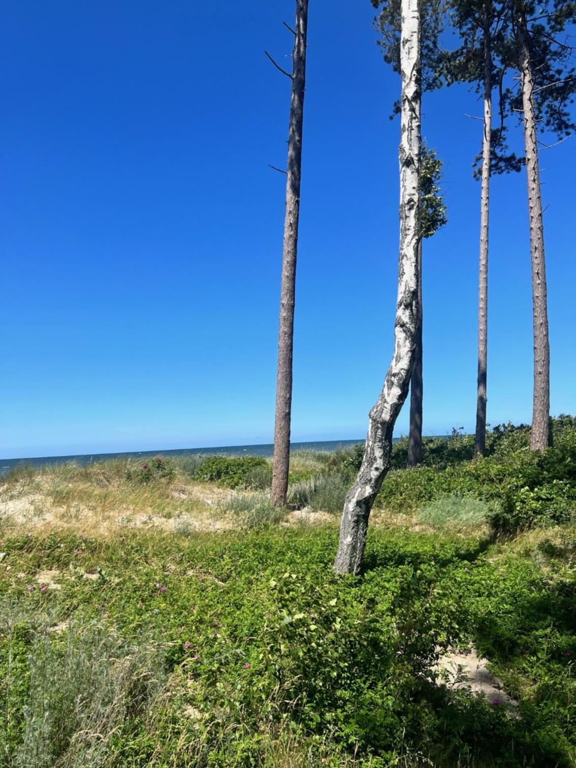 Flip Flops view 4
