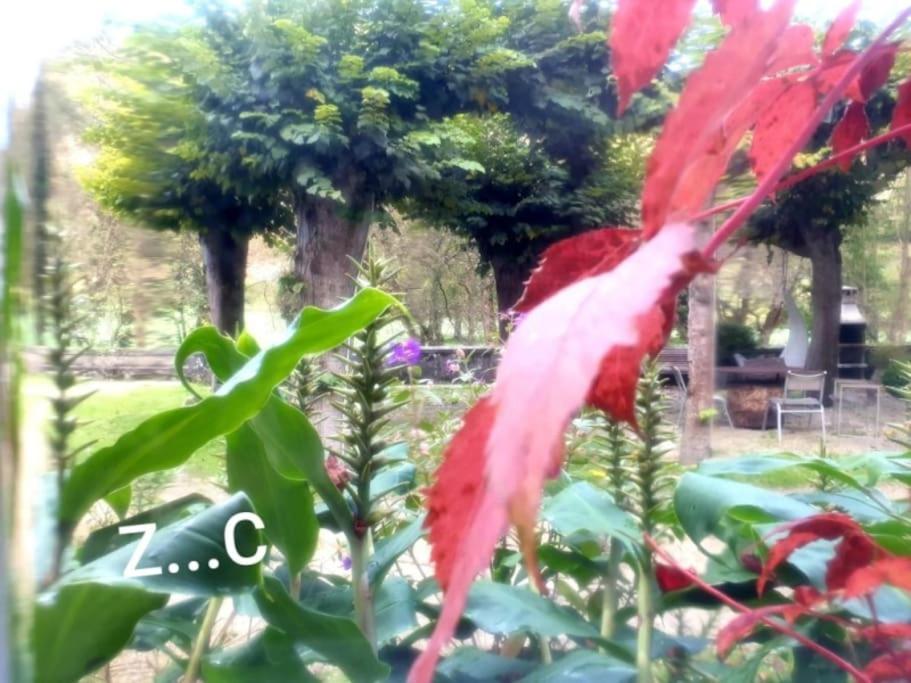 Photo 36