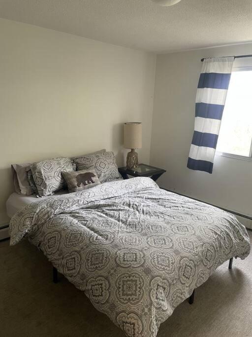 Stunning 1 Bedroom Apartment