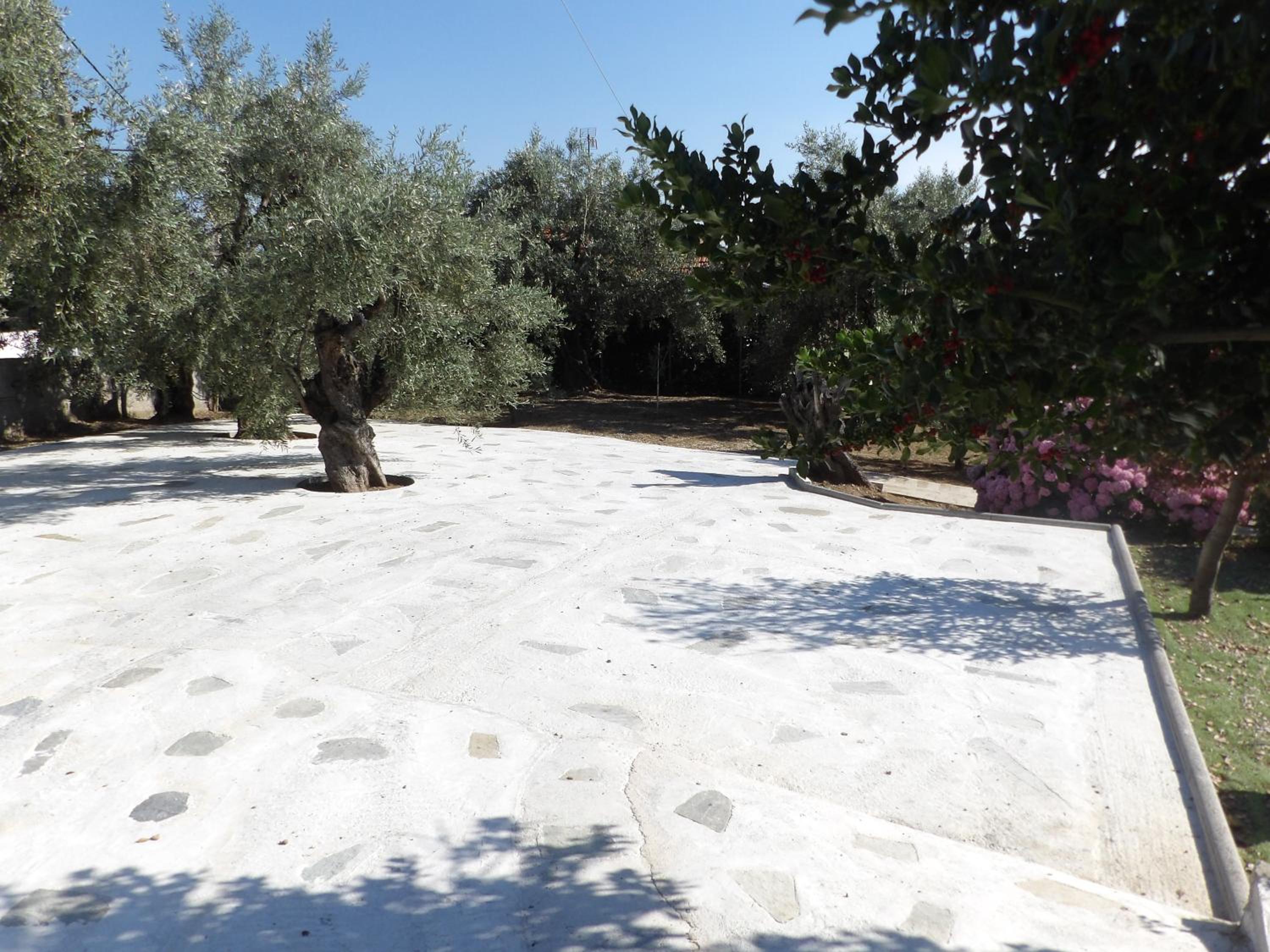 Villa Marina, Βίλλα Μαρίνα view 5