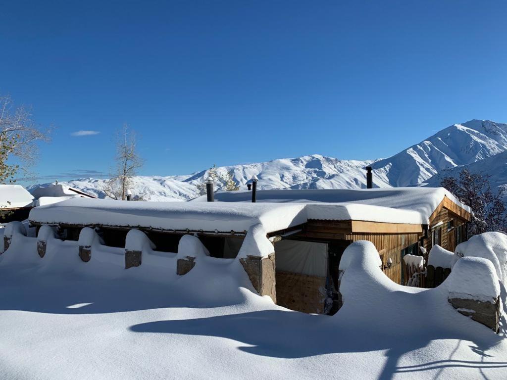 La Leona de 7K Lodge