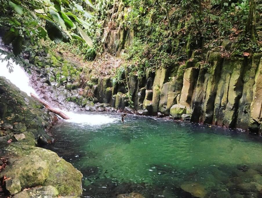 Cocon Tropical