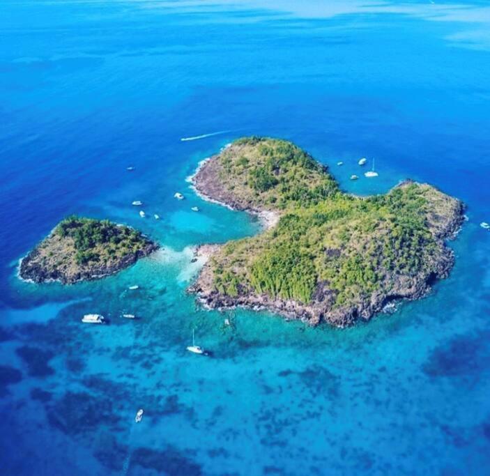 Cocon Tropical