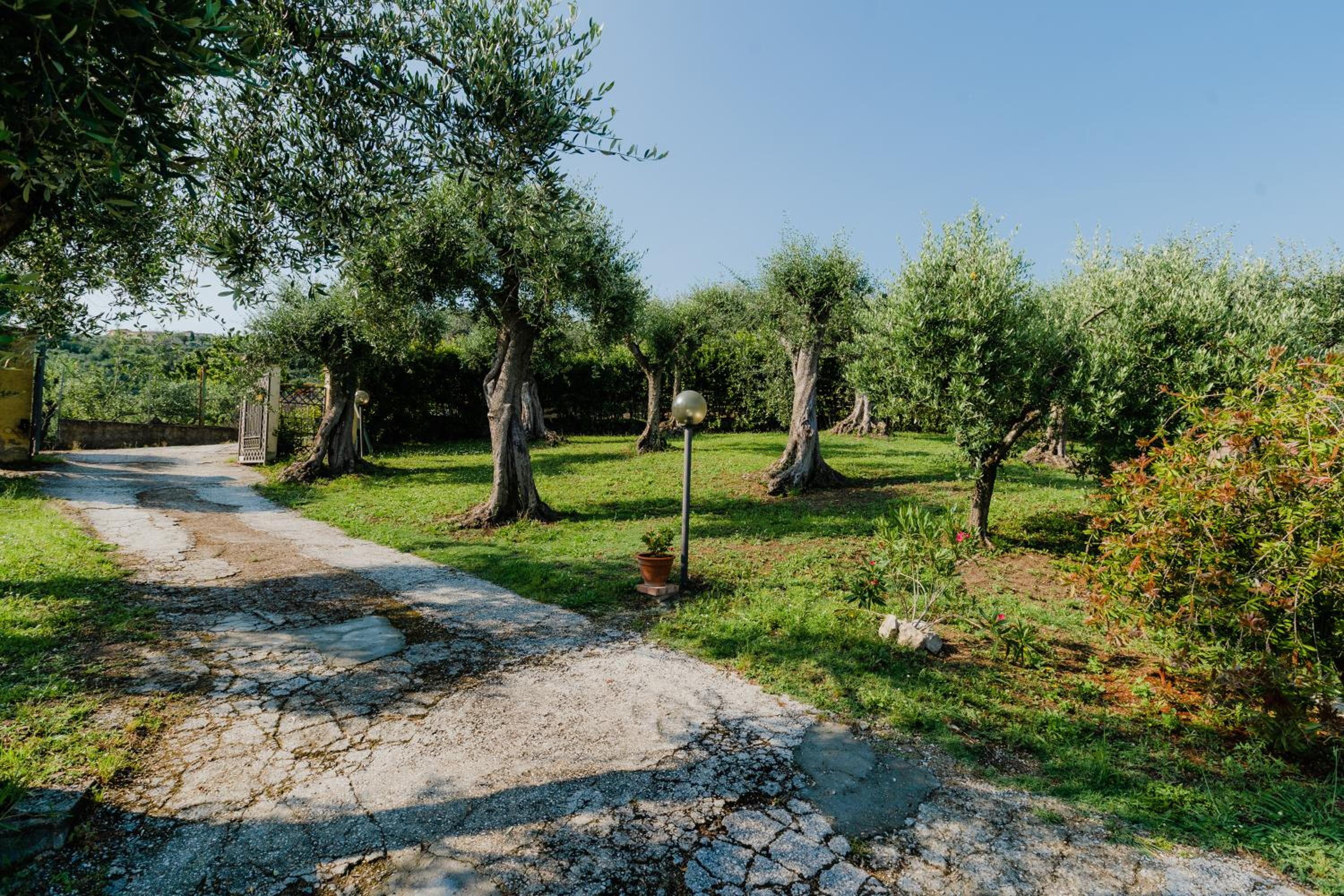 la tana del geco view 5