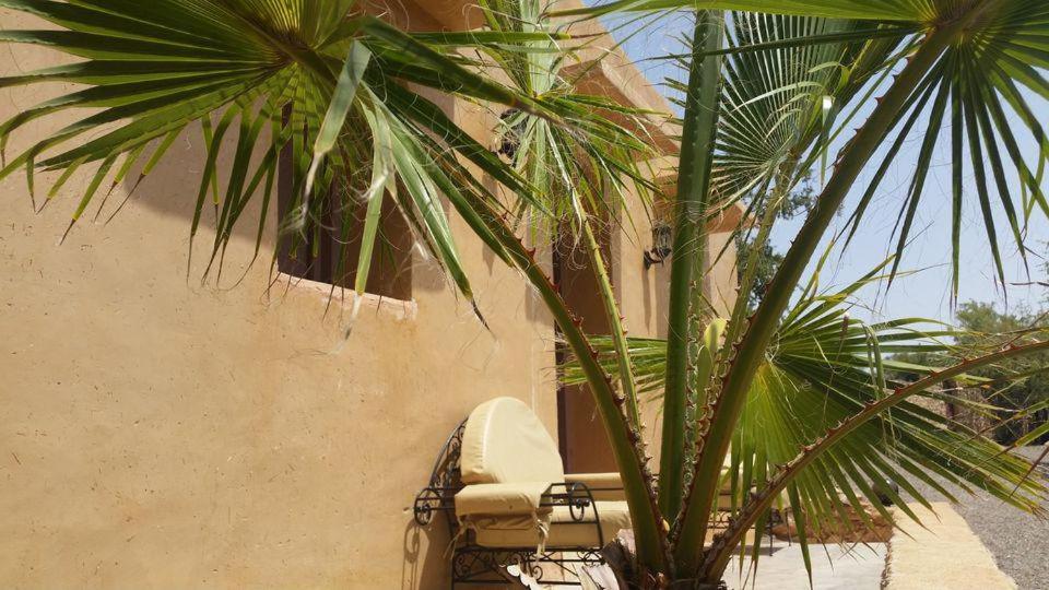Paradis Nomade