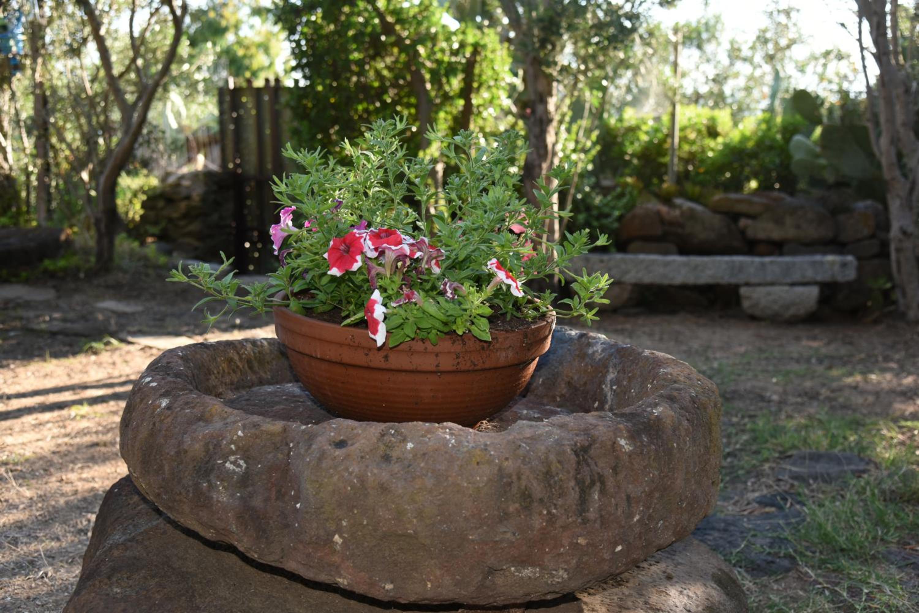 Photo 42