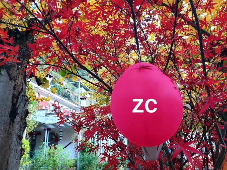 zentral club voltio-jacuzzi