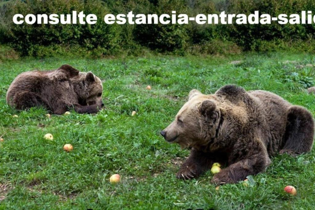 zentral club voltio-jacuzzi