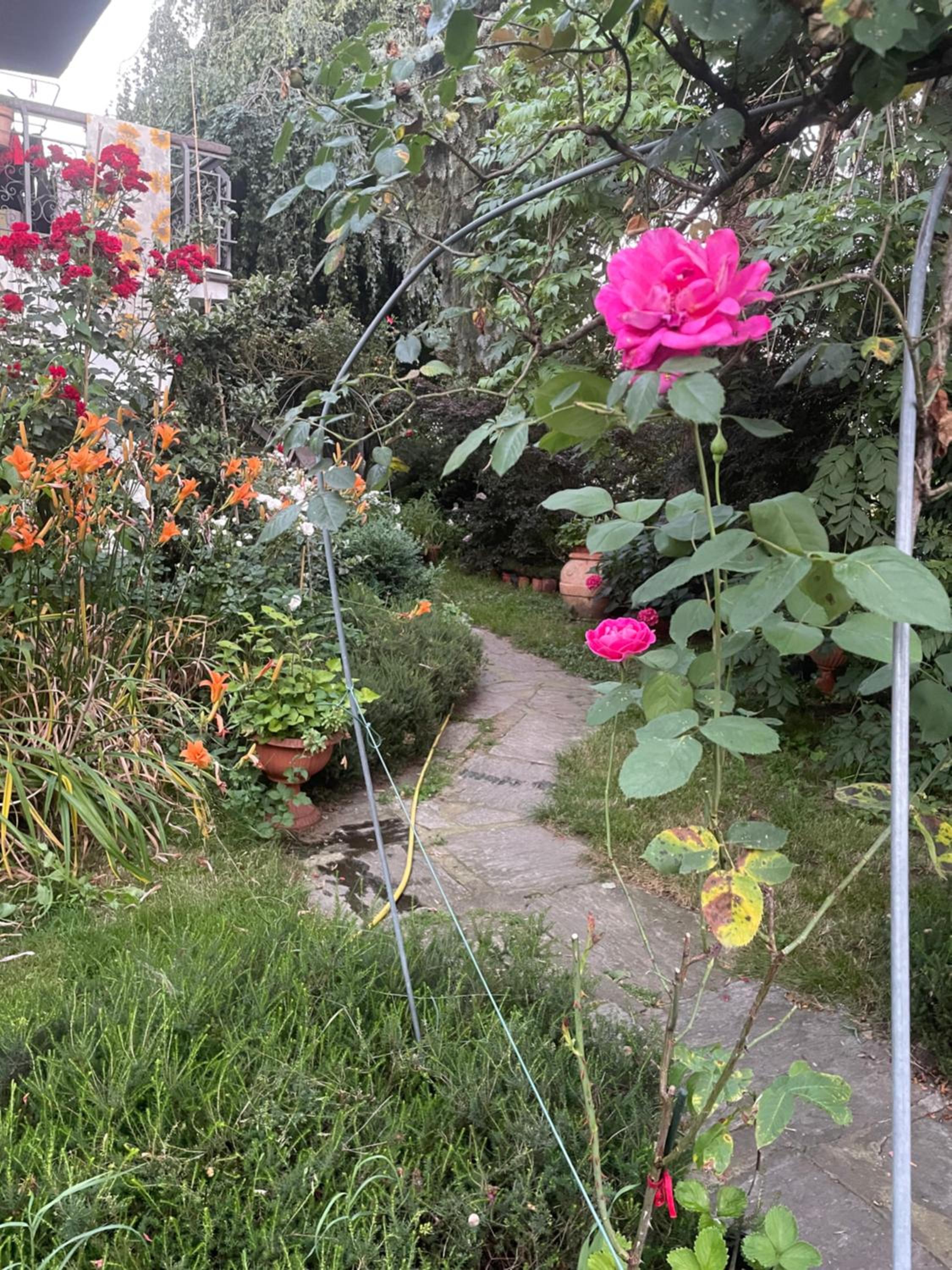 Photo 36