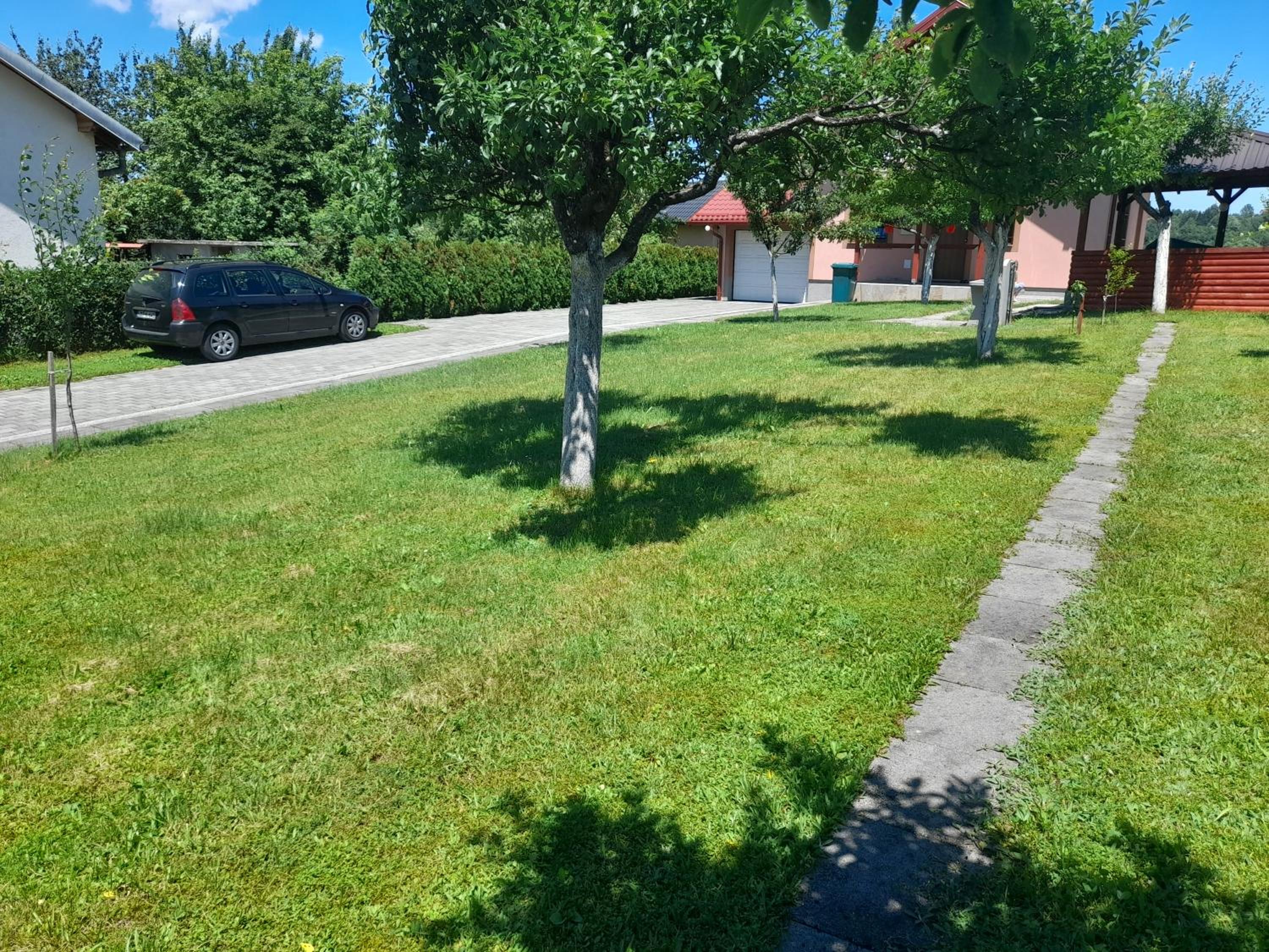Photo 24