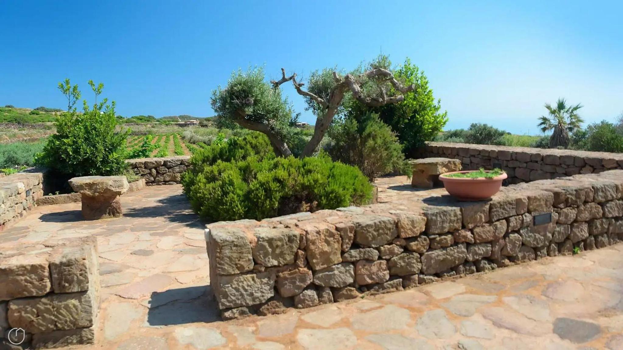 Dammusi Barone view 3